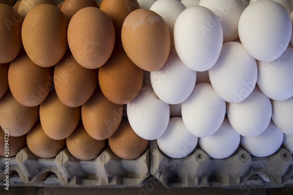 Obraz Huevos mix 2 6545