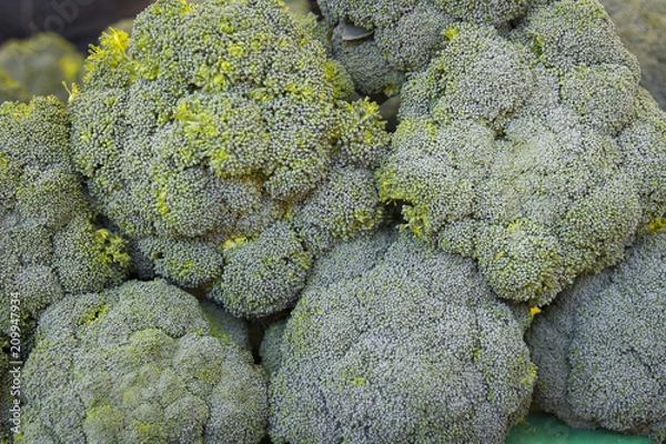 Obraz Brocoli 6565