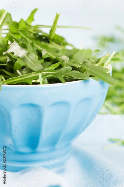 Obraz Rucola salad