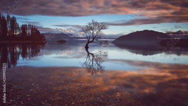 Obraz Einsamer Baum, Wanaka - Südinsel von Neuseeland