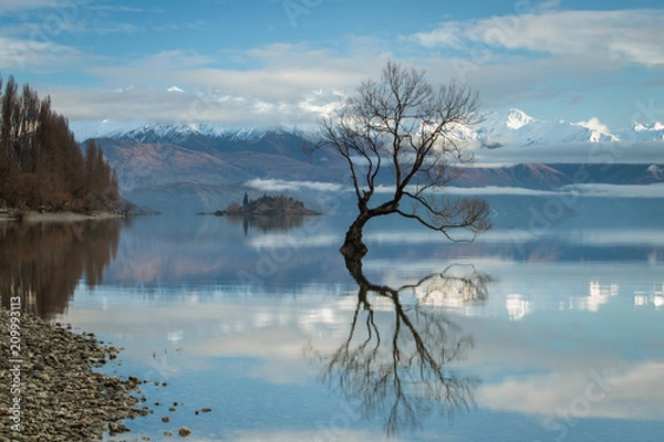 Obraz Wanaka Tree, Lake Wanaka - Südinsel von Neuseeland