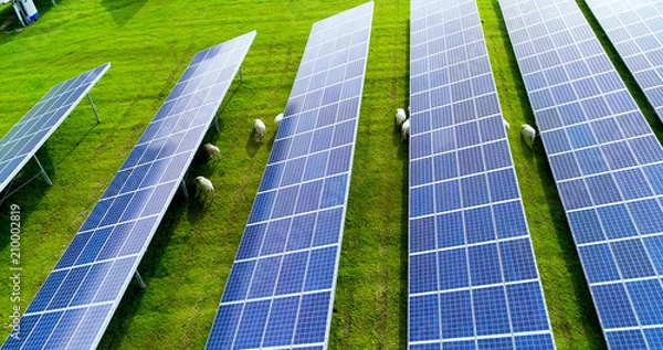 Obraz champs de panneaux solaire dans une ferme solaire