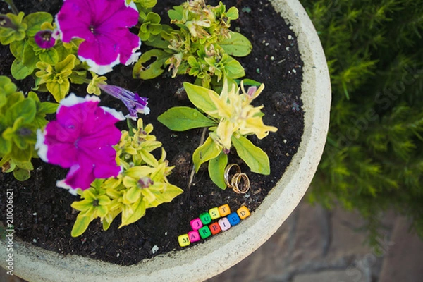 Fototapeta Multicolored letters Just married with rings in pot with flower