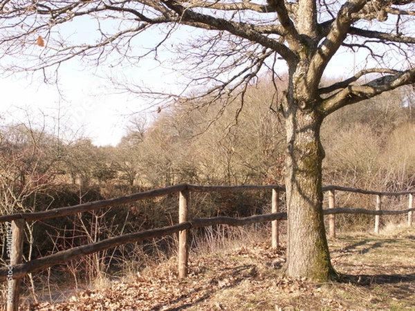 Obraz KONICA MINOLTA DIGITAL CAMERA