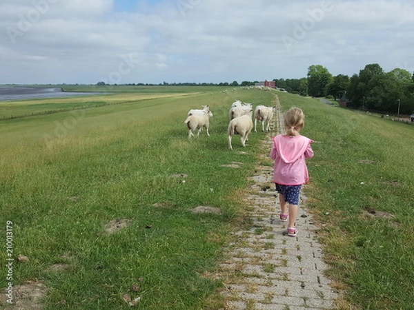 Obraz Deichspaziergang