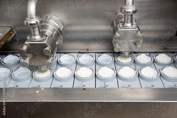 Obraz Final Stage Of Production Yogurt-Filling Yogurt Into Plastic Glasses In Modern Dairy