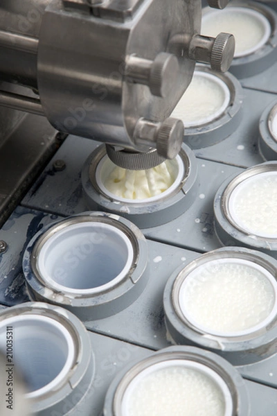 Obraz Final Stage Of Production Yogurt-Filling Yogurt Into Plastic Glasses In Modern Dairy