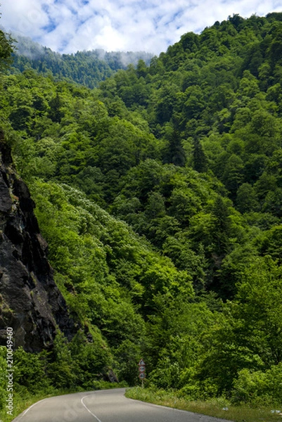 Fototapeta Дорога