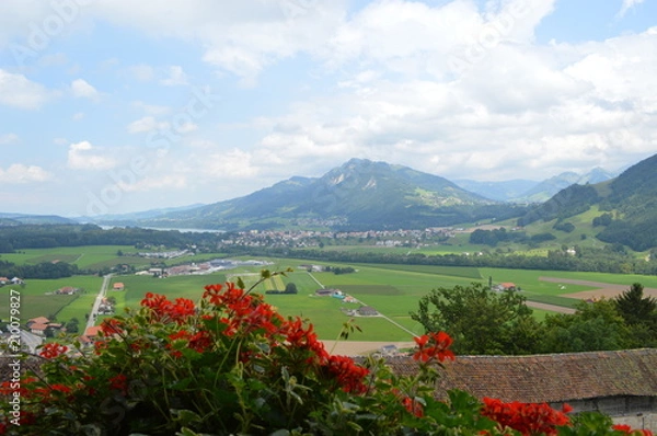 Obraz Geraniums with backdrop of Swiss Countryside