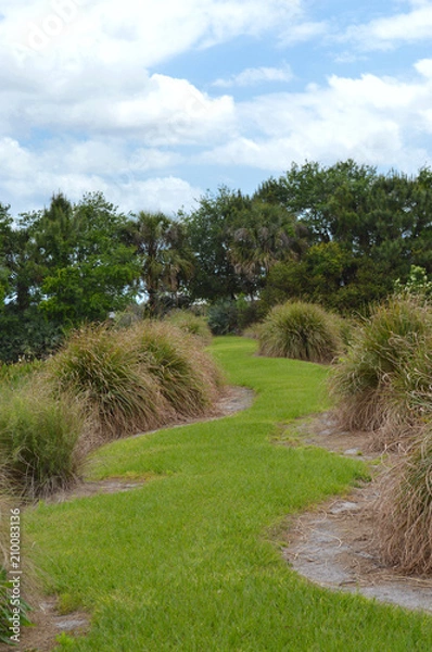 Fototapeta Winding Path