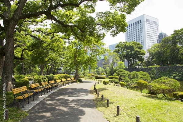 Obraz Landscape in Hibiya park
