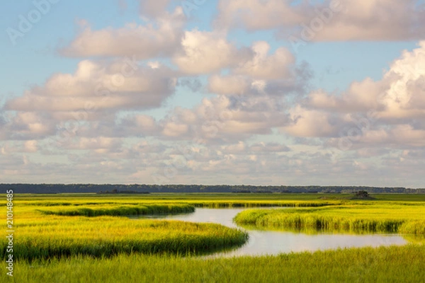 Obraz Clouds Over a Salt Water Marsh