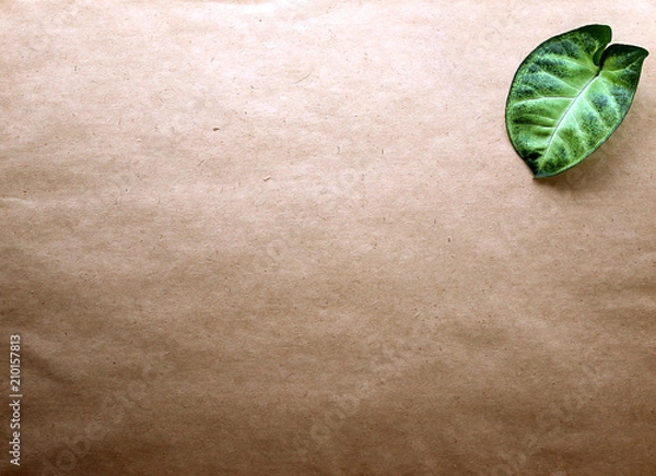 Obraz Your summer design