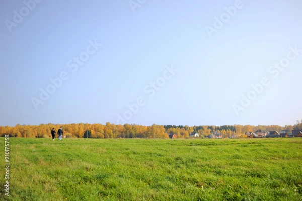 Fototapeta A young couple girl and a guy are walking along a field of green grass. In their hands baskets for mushrooms. On the horizon, trees with yellow foliage and village houses. Blue sky, autumn day.