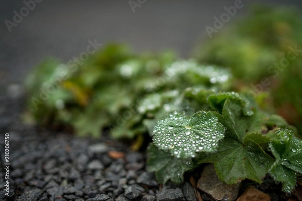 Obraz balancing rocks