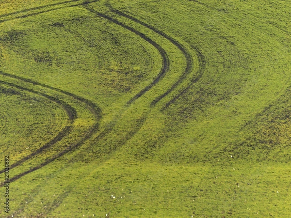 Obraz Fahrspuren in grünem Feld