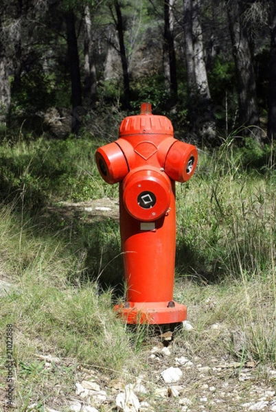 Obraz borne incendie en forêt