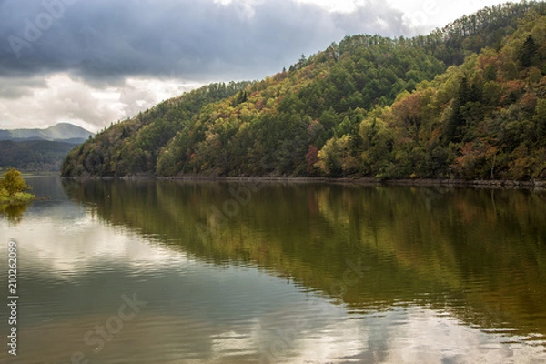 Fototapeta lake in the forest