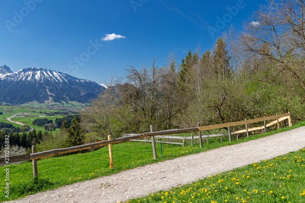 Obraz Auf einem Wanderweg im Allgäu 