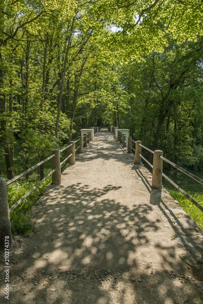 Fototapeta path in the woods