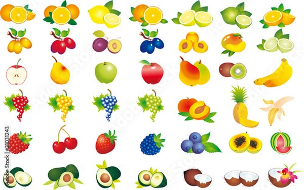 Obraz Fruits vector