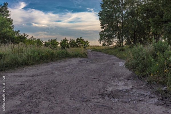 Fototapeta Dirt Road Leading to Adventure