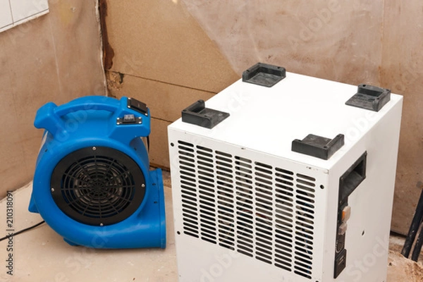 Obraz Water damage restoration