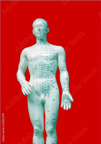 Fototapeta IMG_2986 bonhomme acupuncture