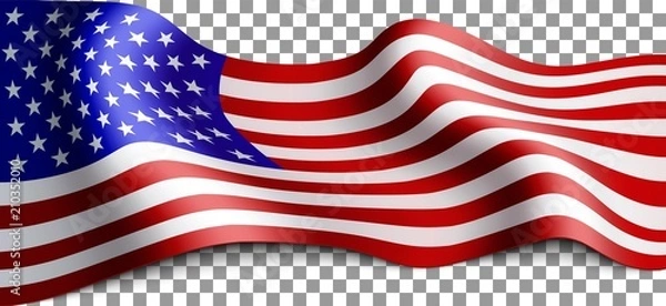 Obraz Long american flag