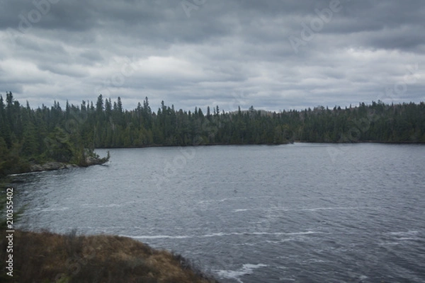 Obraz Forest on edge of a lake