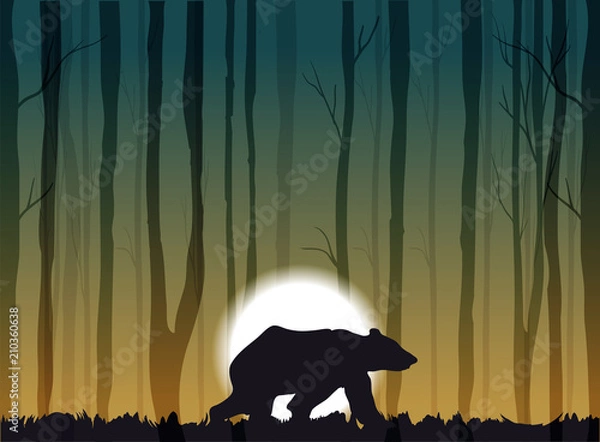 Fototapeta niedźwiedź spaceru po lesie, ilustracja wektorowa lasu o zachodzie słońca