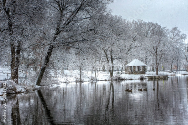 Fototapeta Winter Pond
