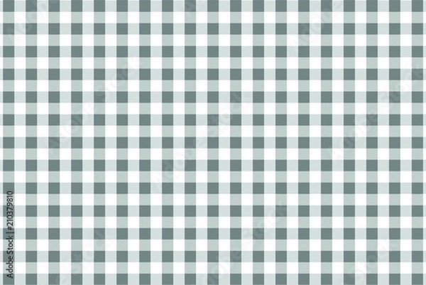 Fototapeta Gray Gingham pattern. Texture from rhombus/squares for - plaid, tablecloths, clothes, shirts, dresses, paper, bedding, blankets, quilts and other textile products. Vector illustration.