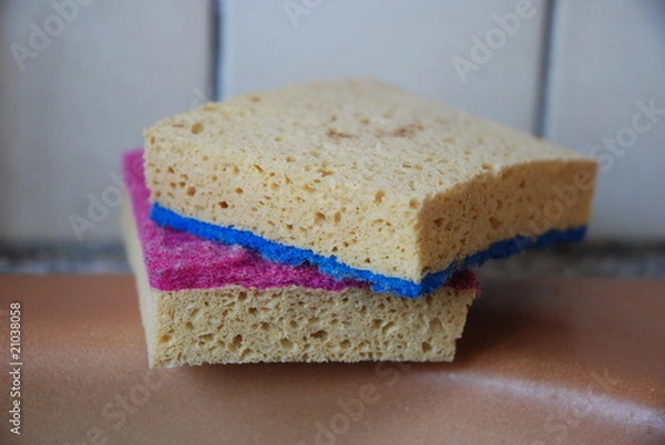 Obraz Éponges amour