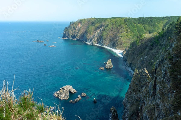 Fototapeta 【岩手県田野畑村】新緑の鵜の巣断崖は足が竦むような断崖絶壁