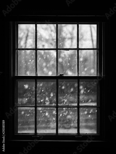 Fototapeta Snowy View from the window