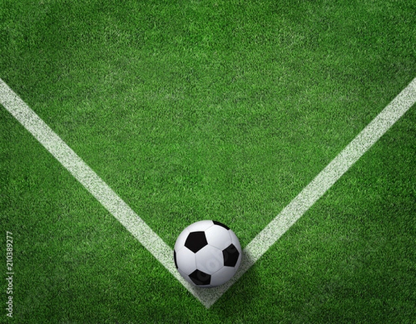 Fototapeta 3d rendering of soccer ball with line on soccer field.