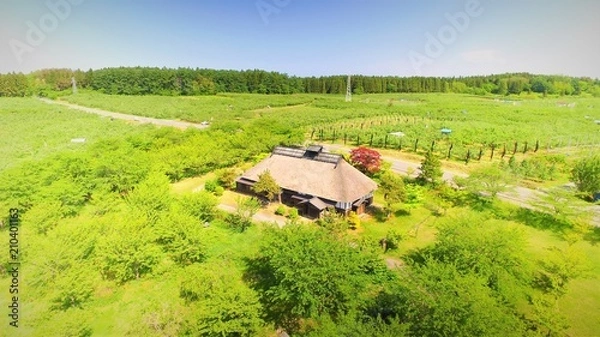 Fototapeta 古民家