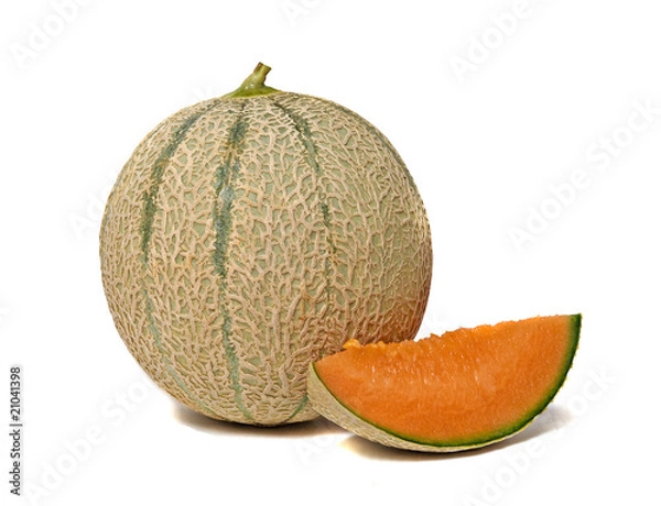 Obraz melon isolated on white background