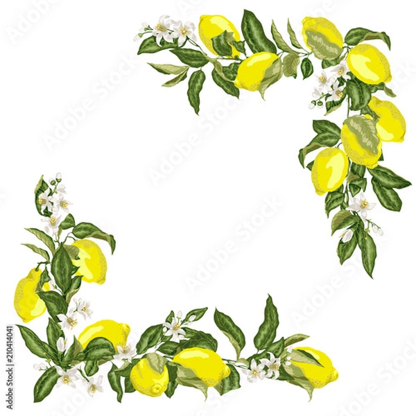 Obraz Set of corner square frame template with citrus lemon flower and fruits