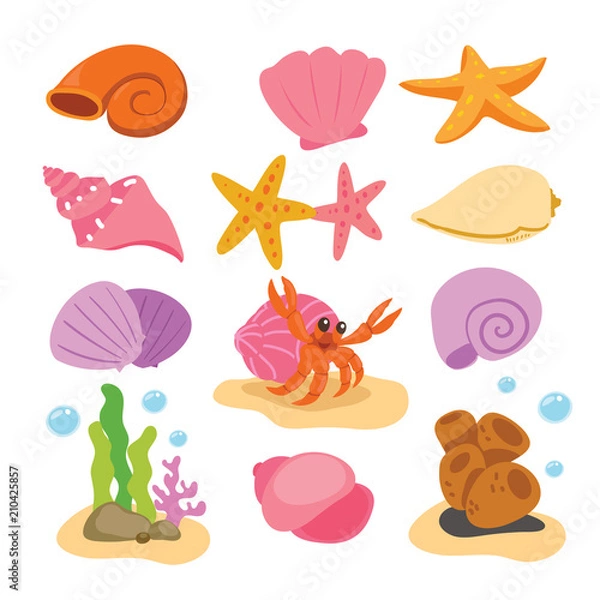 Fototapeta shell vector collection design