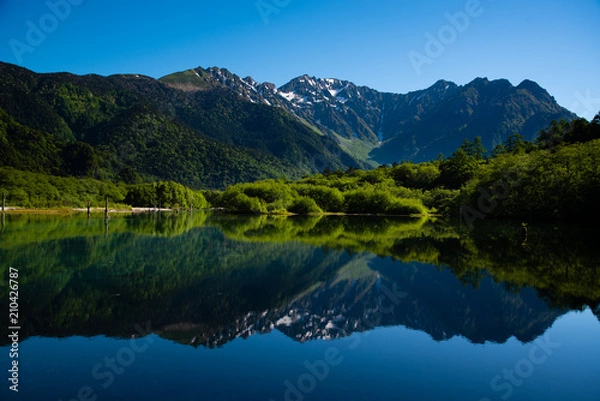 Obraz 夏の朝 上高地 大正池