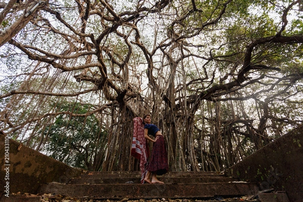 Obraz A mighty spreading banyan tree. Asia. India. Thailand. A girl with a handkerchief on her shoulders is dancing a dance of freedom. Wildness. Recreation. Vacation abroad.