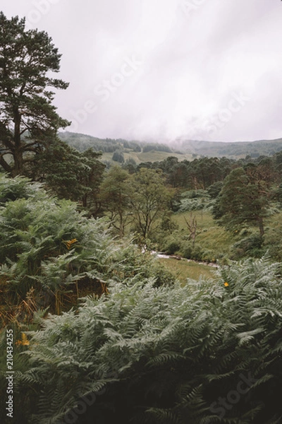 Obraz Scottish Highlands