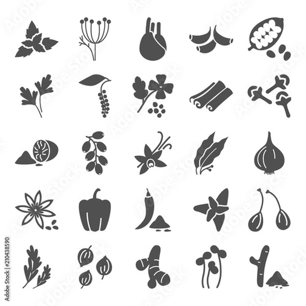 Fototapeta Different spices simple icons set