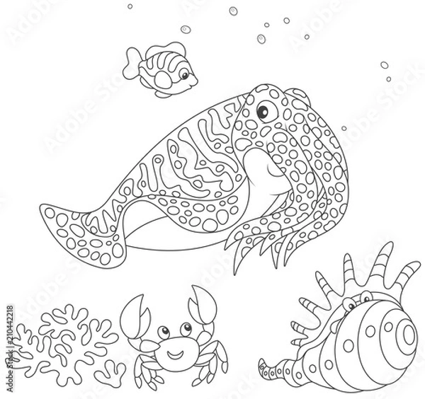 Fototapeta Spotted cuttlefish and a small striped fish swimming over a coral, a funny pink crab and a tropical shell, black and white vector illustration in a cartoon style for a coloring book