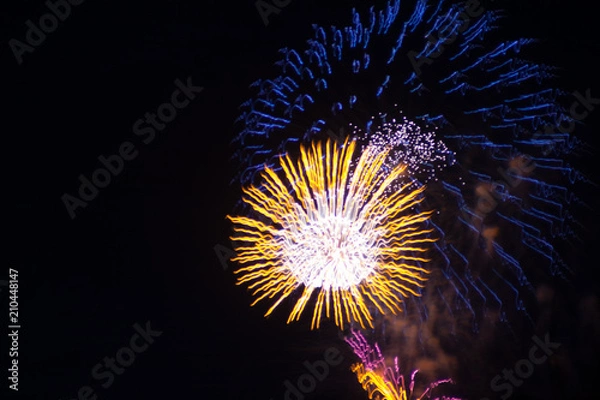 Obraz Firework Celebration