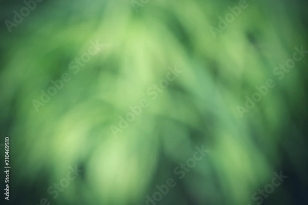 Obraz Natural green abstract spring background