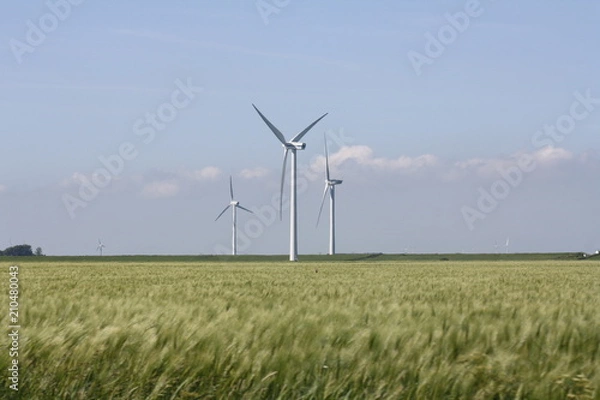 Obraz Windräder im Feld