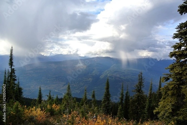Fototapeta Clouds on the forest